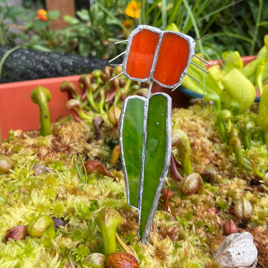 Venus flytrap plant stakes - Cloud Forest Flora