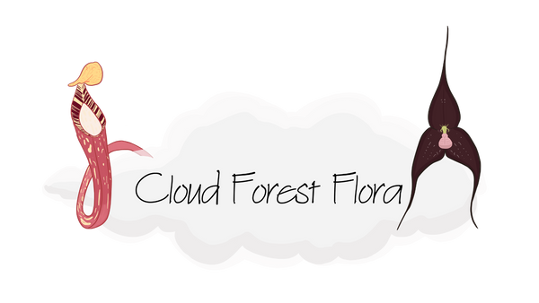 Cloud Forest Flora