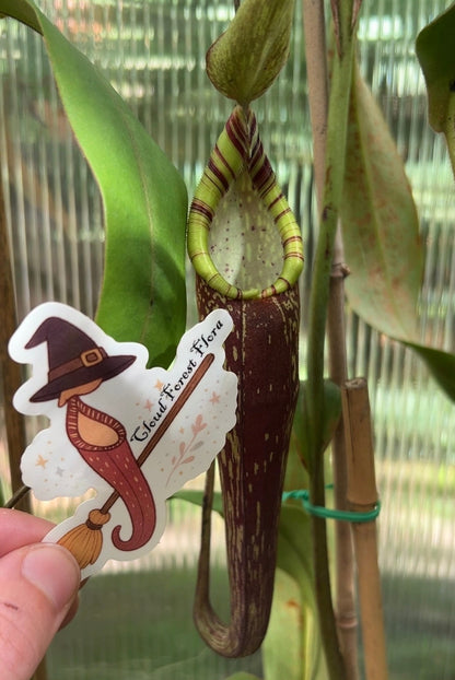Halloween Stickers - Limited!