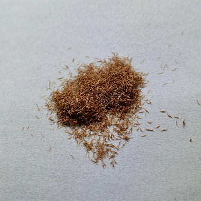 A pile of orchid seeds rests upon a white background. 